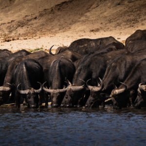 Riverbed Migration