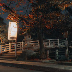 Nocturnal Bridge & Japanese Lanterns