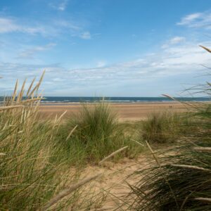 Coastal Dunes and Grasses