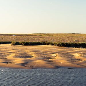 Rippled Sand Patterns