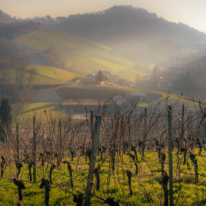 Valley Mist at Sunrise